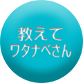 チャンネル桜の教えてワタナベさん